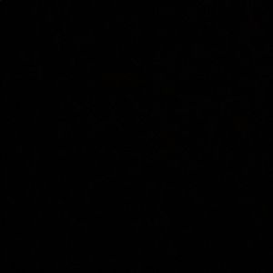 Meet your Posher, Sierra